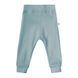 Штаны полоска зеленые для малышей 1-3 міс. (56-62 см) 4003L33-1531 фото 1